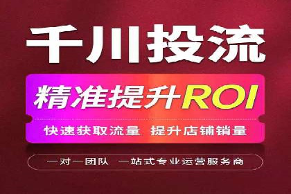 网络推广与竞价优化成功案例